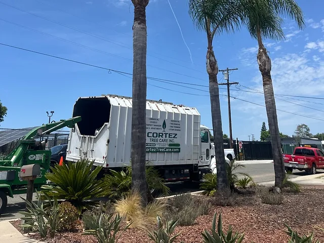 HOA & Property Management